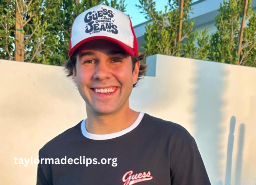 David Dobrik Net Worth