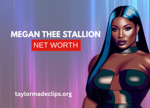 megan the stallion net worth