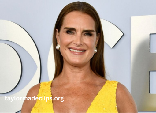 brooke shields net worth